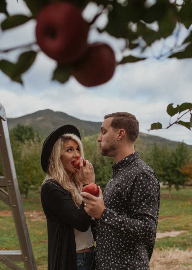 Virginia Apple Orchard
